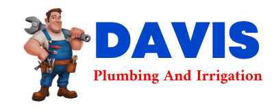 Trusted plumber in TIMPSON